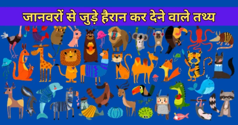 Animal Facts in Hindi